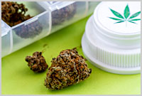 Waporyzowanie cannabis jest skuteczne w leczeniu neuropatii, THCLand.pl
