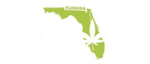 Karta medycznej marihuany na Florydzie, THCLand.pl
