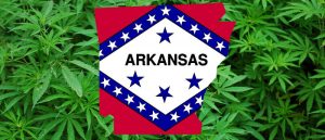 Opłata za uprawę medycznej marihuany w Arkansas wynosi 100.000 dolarów, THCLand.pl