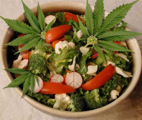 salad-recipes-marijuana