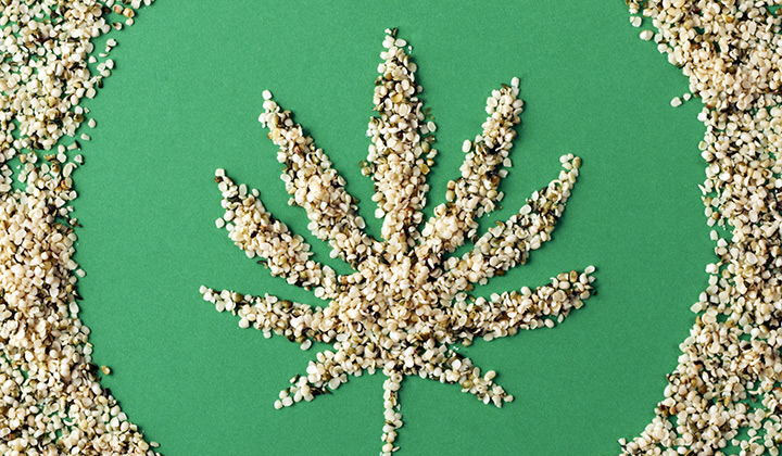 marihuana-lecznicza-medyczna-nasiona-konopi