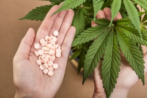 marihuana-kannabis-kontra-leki-farmaceutyczne