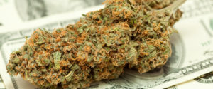 Kalifornia obniża podatek na marihuanę?, THCLand.pl