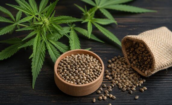 Pakowanie nasion marihuany w seedbanku